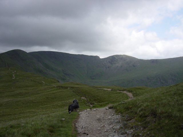 Dsc00446