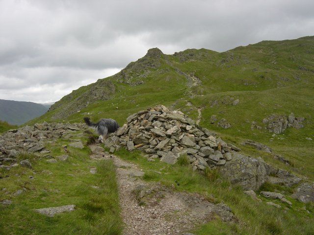 Nab Scar