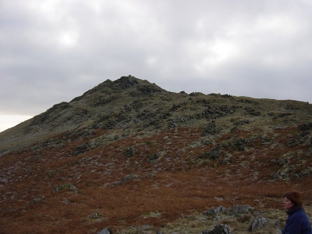 015.jpg