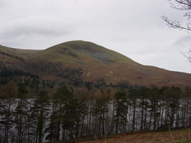 Fellbarrow - 10th March 00111