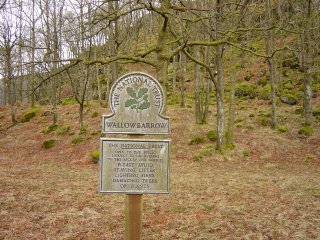Harter Fell - 6th April 006