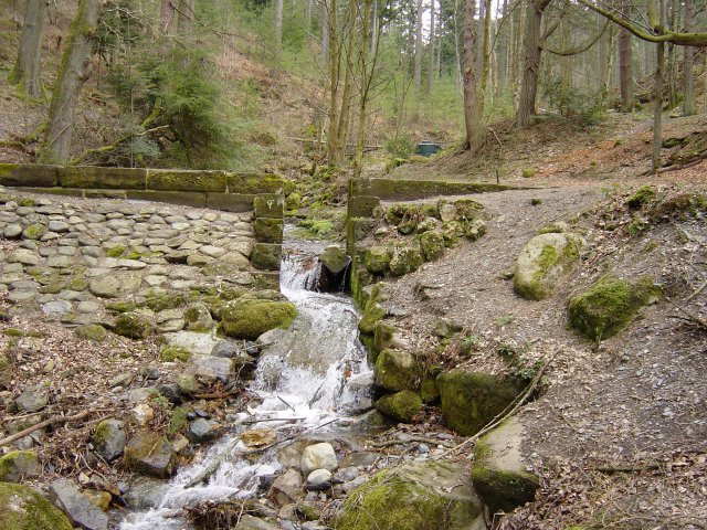 Sale Fell - 8th April 035