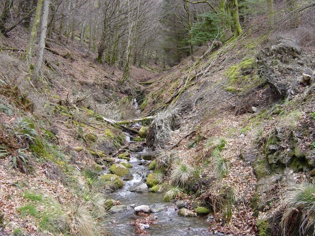 Sale Fell - 8th April 036