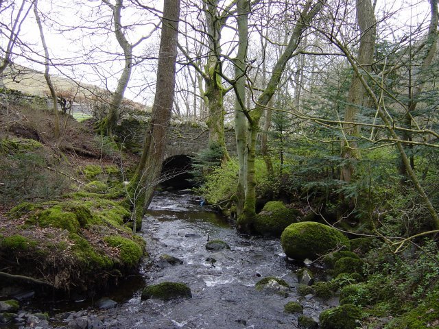 Sale Fell - 8th April 034