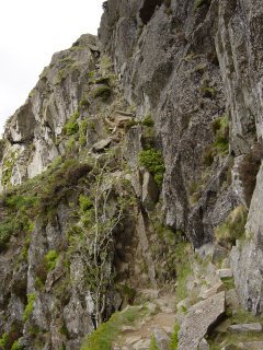 25th May - Langdale Pikes 017