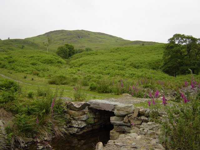 16th June - Woodland Fell 002