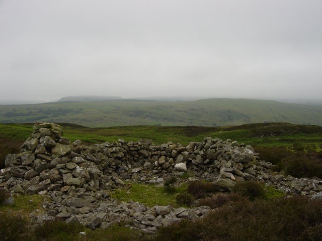 16th June - Woodland Fell 009
