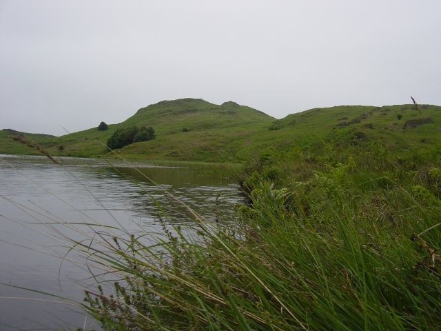 16th June - Woodland Fell 013
