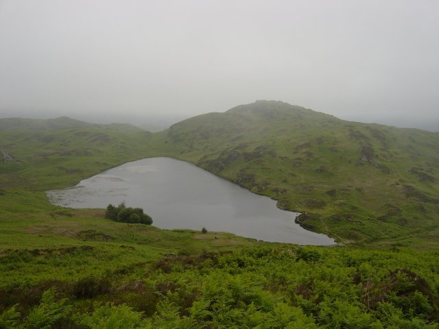 16th June - Woodland Fell 015
