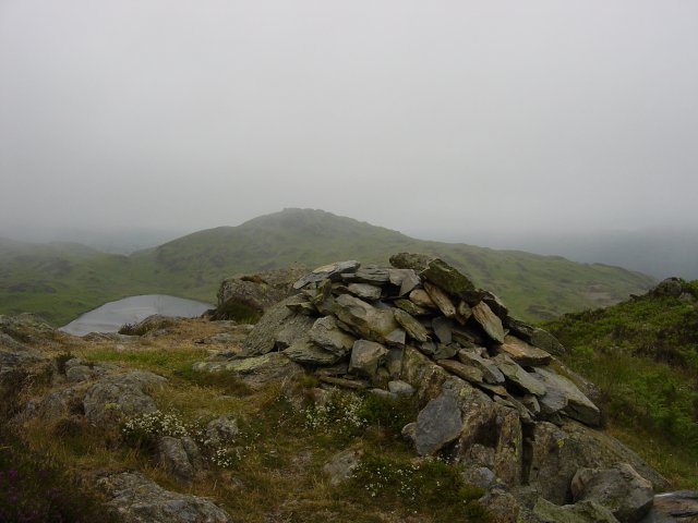 16th June - Woodland Fell 016