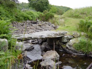 16th June - Woodland Fell 019