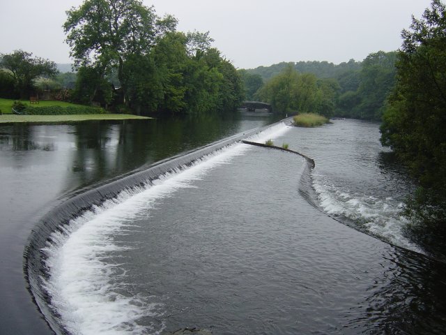 Dsc01538