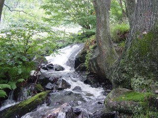 Dsc01568
