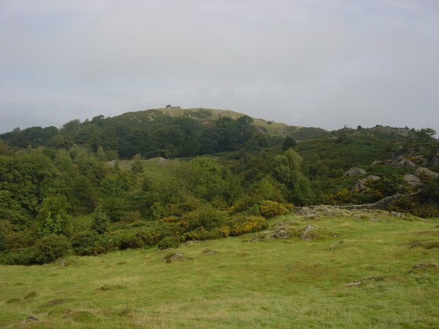 11th August - Newton Fell 006