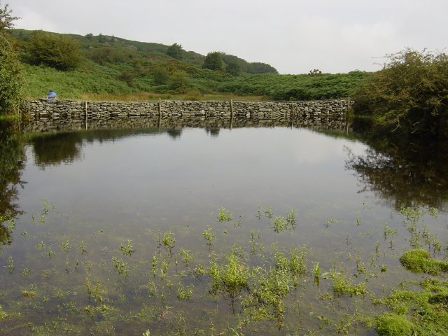 11th August - Newton Fell 018