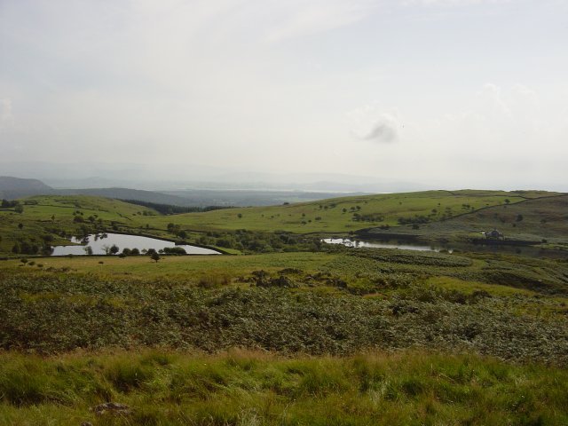 11th August - Newton Fell 032