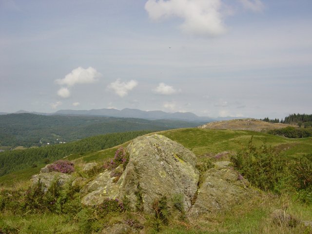 11th August - Newton Fell 034