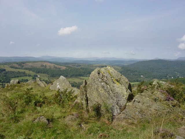 11th August - Newton Fell 035