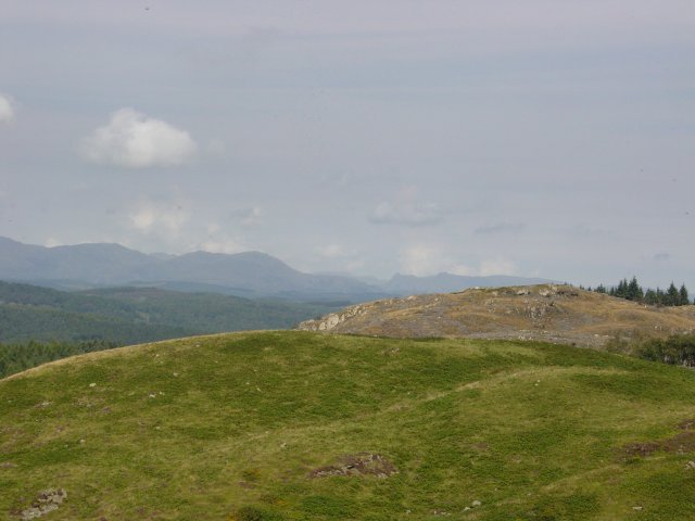11th August - Newton Fell 038