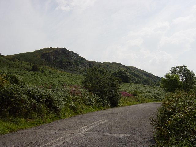 11th August - Newton Fell 044