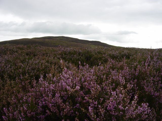 26th August - Potter Fell 006