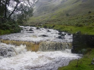 13th September - High Seat 034