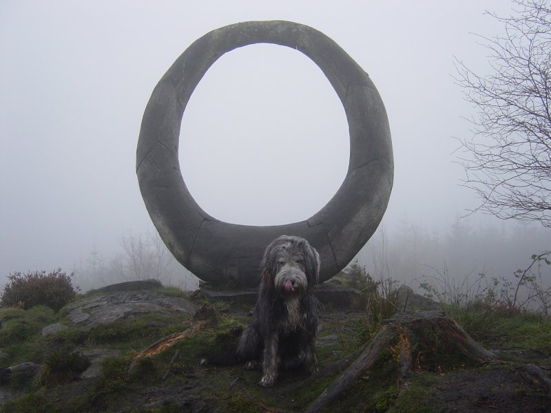 3rd November - Carron Crag 004