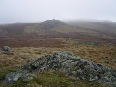 Dsc02907