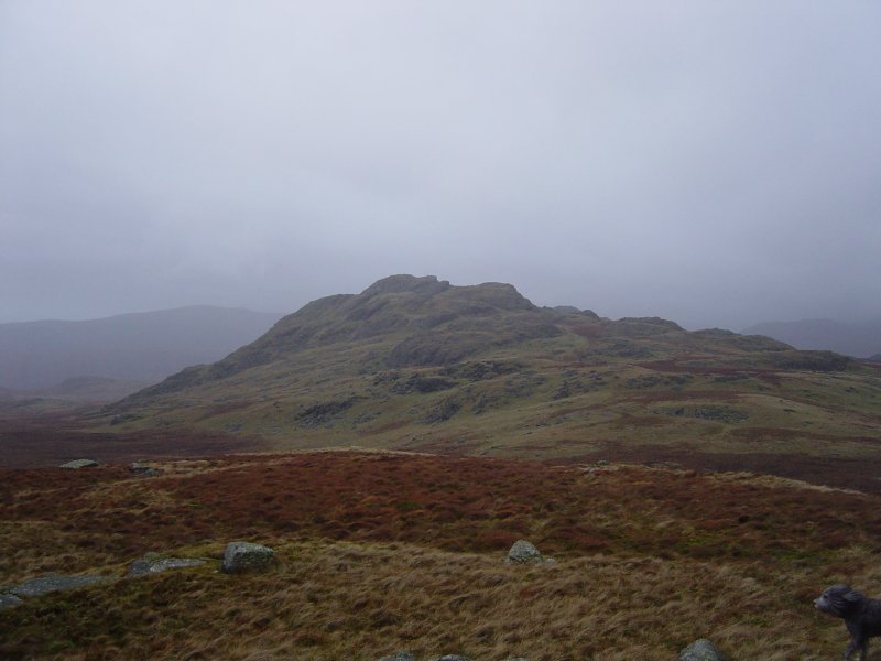 Dsc02916