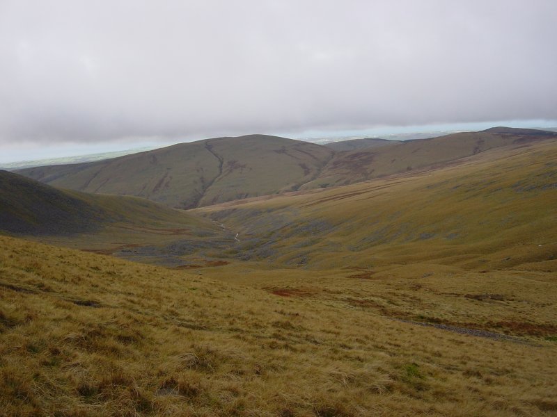 Dsc02971