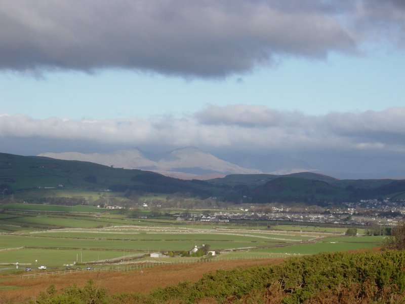 Dsc02998