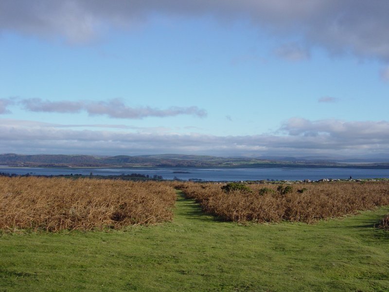 Dsc03005
