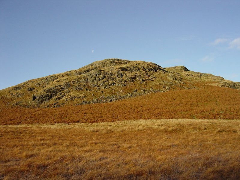 Dsc03037