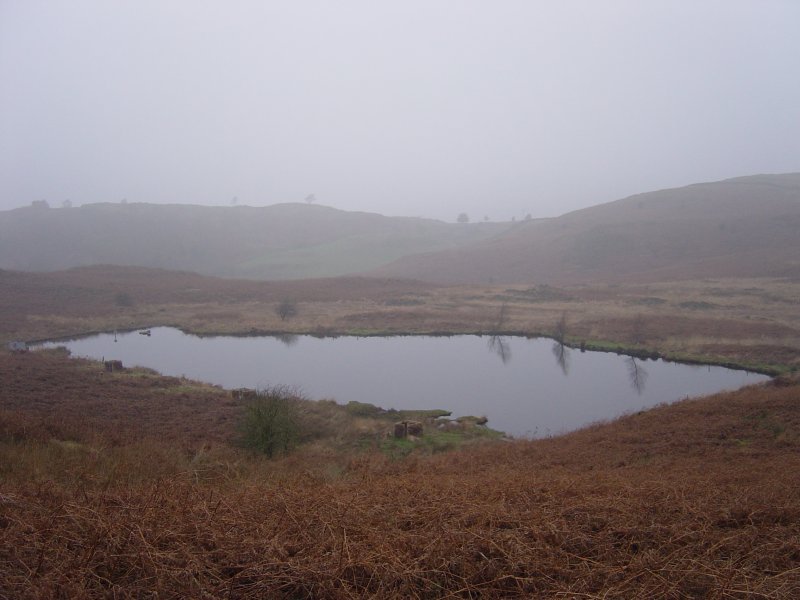 Dsc03171