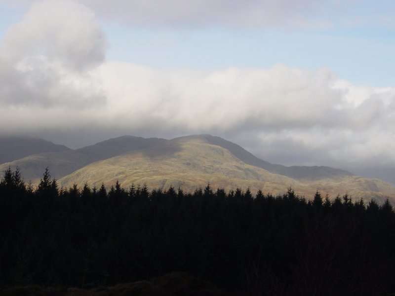 Dsc03767