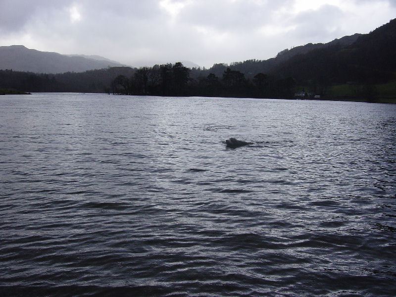 Loughrigg Fell - 17.03.05 007