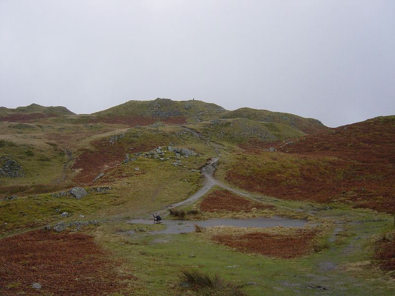 Loughrigg Fell - 17.03.05 024