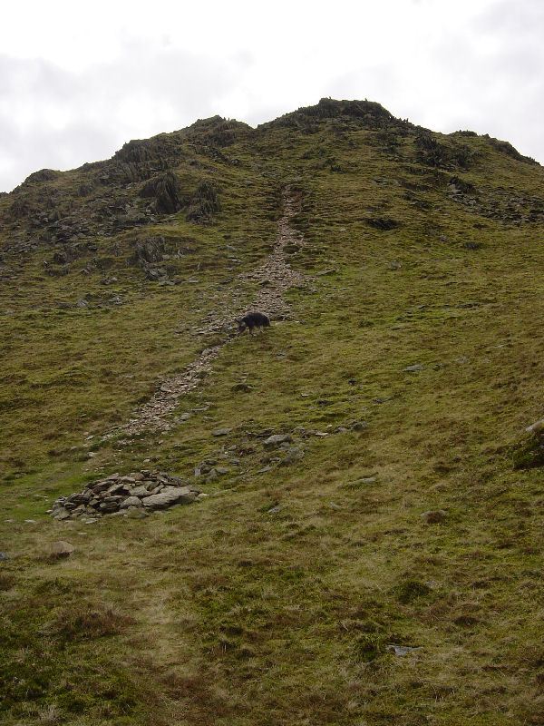 Stickle Pike - 23.03.05 024