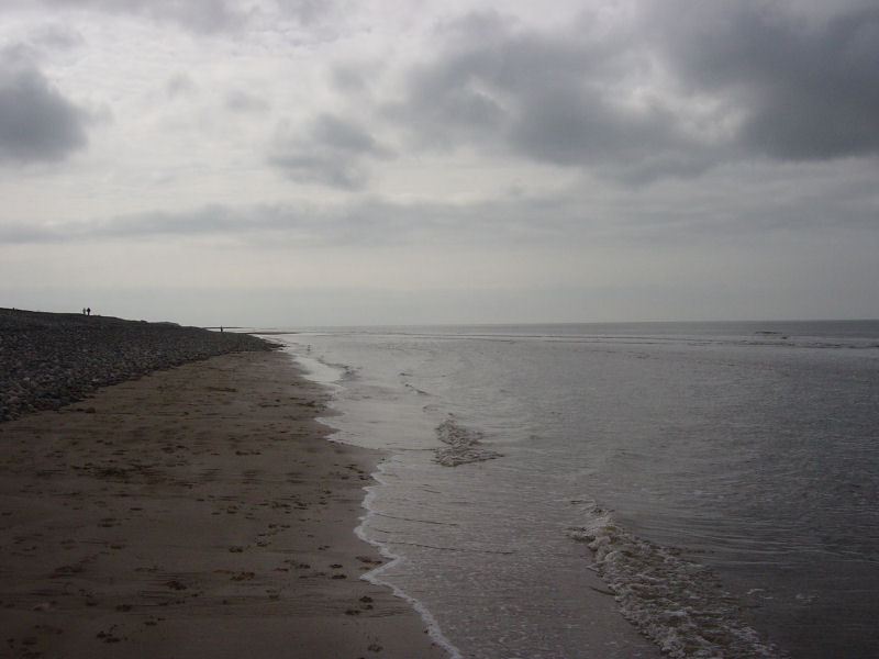 Walney Island - 28.03.05 010
