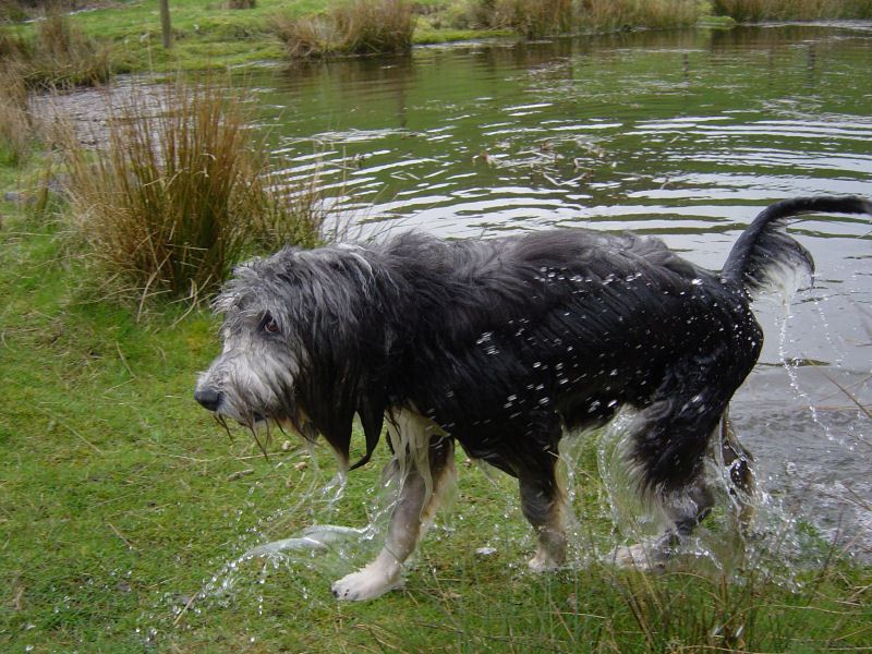 Brant Fell - 01.04.05 025