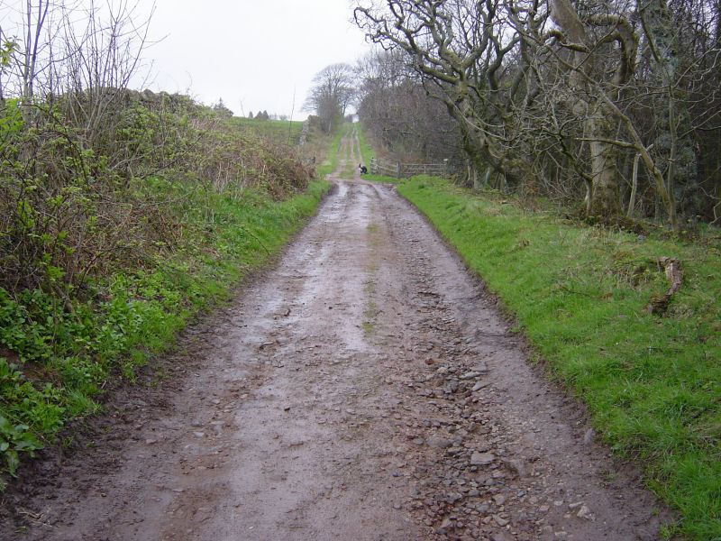 Muncaster Fell - 14th April 004