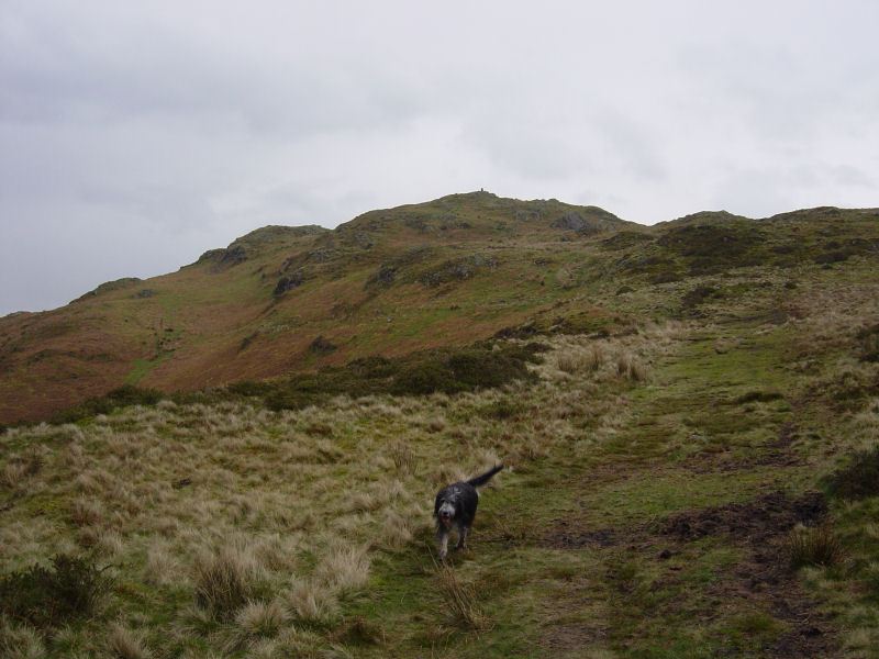 Muncaster Fell - 14th April 013