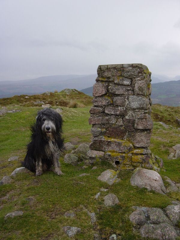 Muncaster Fell - 14th April 014