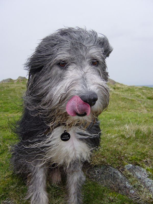 Muncaster Fell - 14th April 027