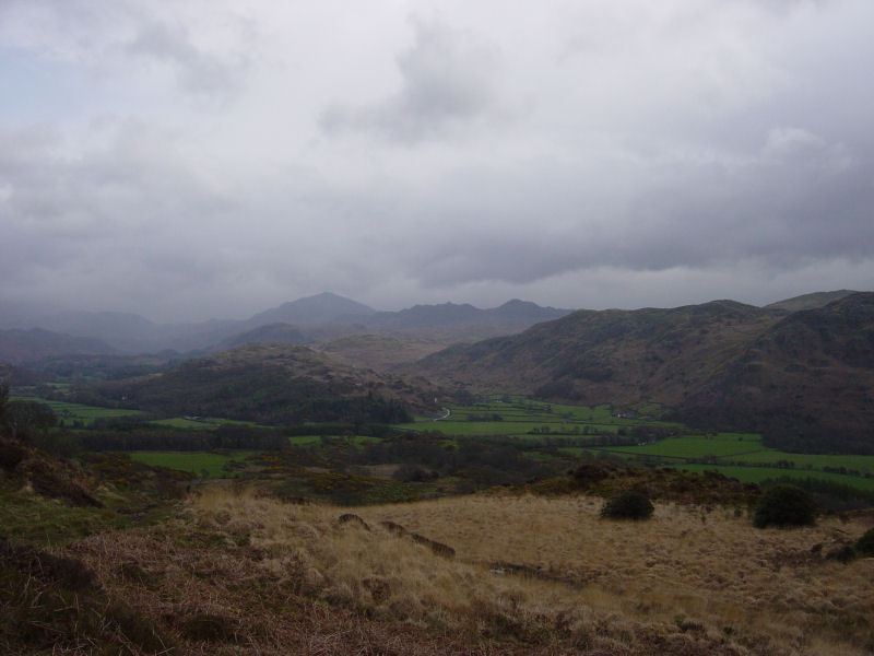 Muncaster Fell - 14th April 040