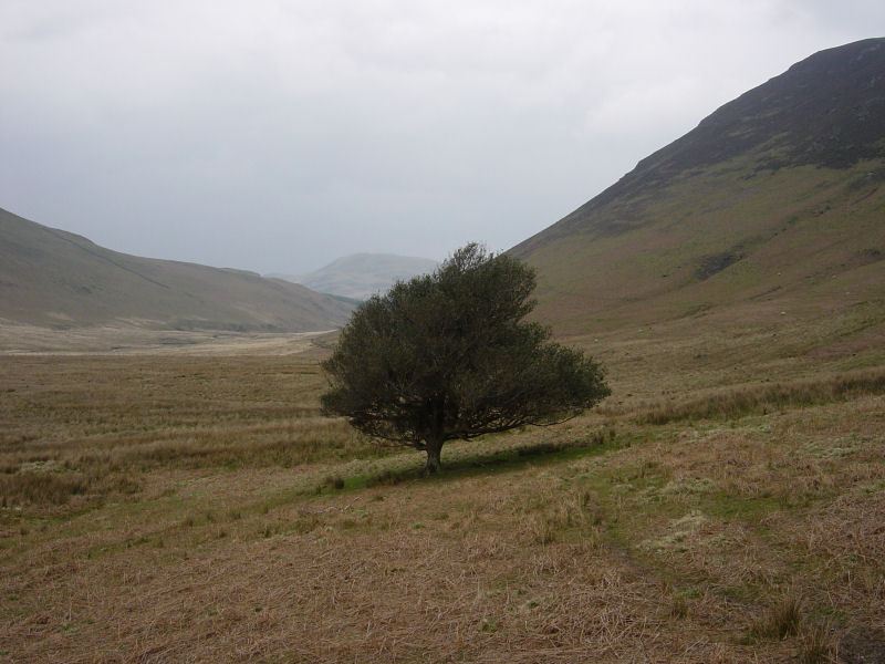 Mellbreak - 25th April 040