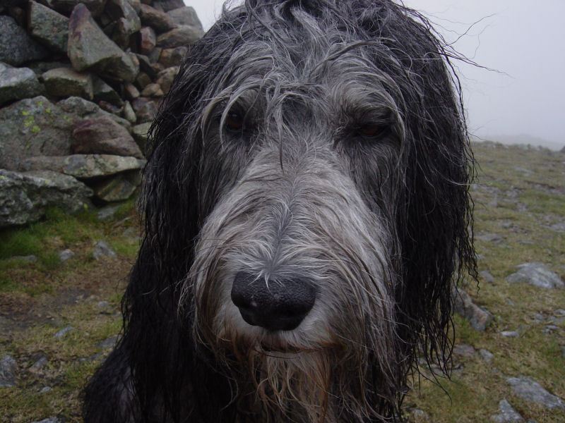 Caudale Moor - 3rd May 017