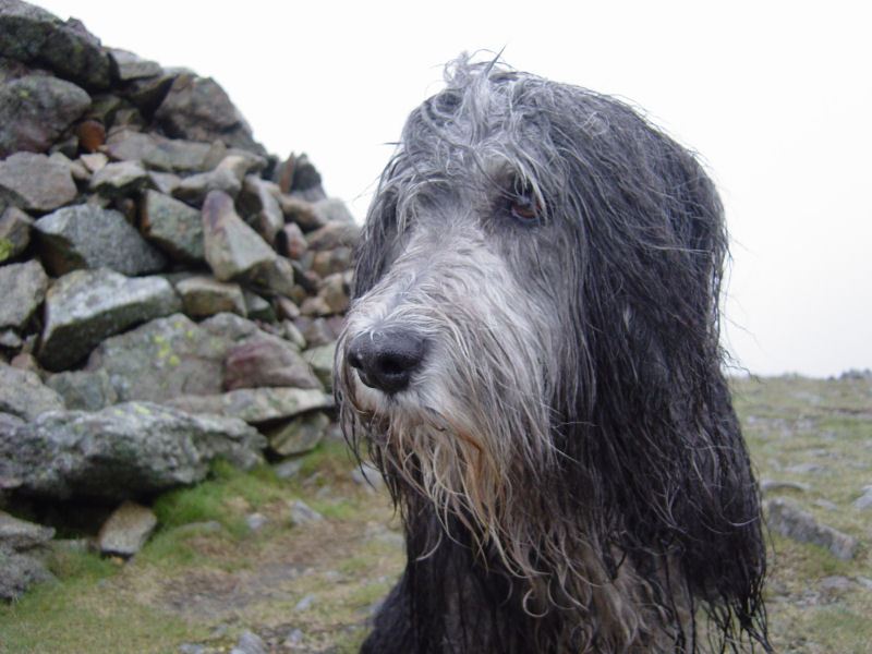 Caudale Moor - 3rd May 018