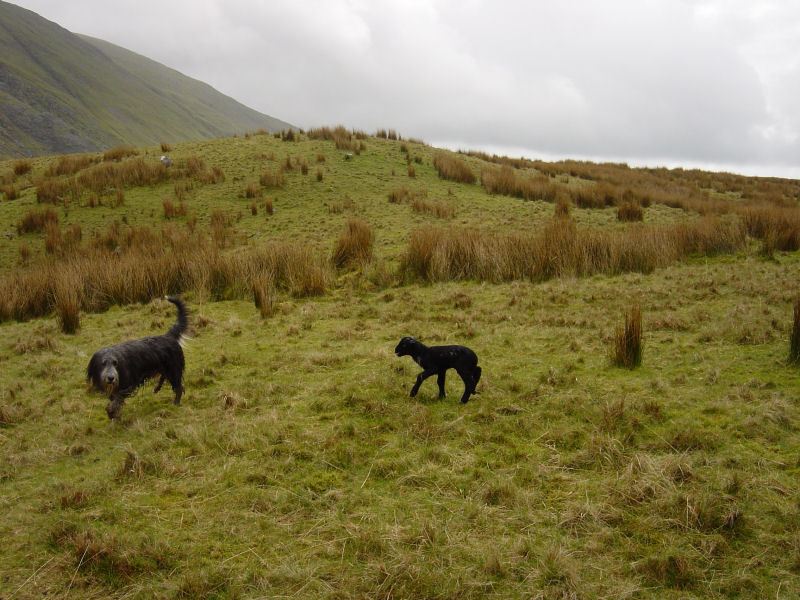 Caudale Moor - 3rd May 037