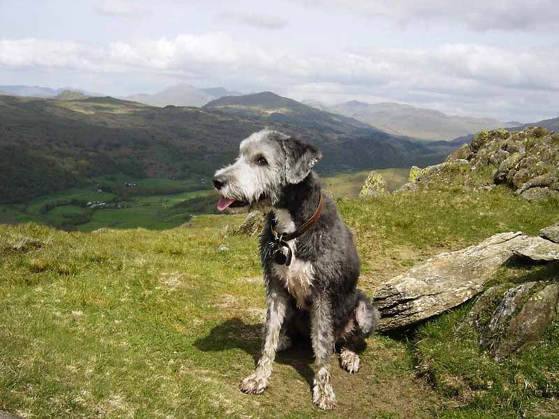 Stickle Pike - 11th May 009